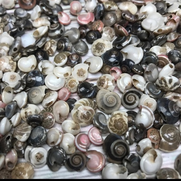 100+ Pcs Real Button TOP Seashells Beads Mixed Lot Jewelry Making DIY Shells - Picture 11 of 12